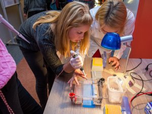 Siguldas Valsts ģimnāzijas skolēni cīnīsies par uzvaru konkursā „Homines 2018”
