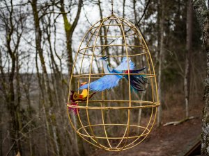 Lieldienu noskaņai novadā izvietoti simboliski vides objekti – krāšņi putni zelta būros