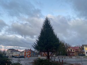 Siguldas stacijas laukumā tiek uzstādīta Ziemassvētku egle