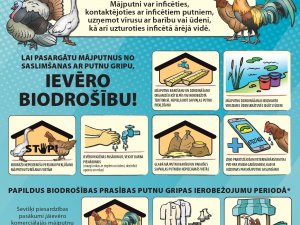 Latvijā konstatētās putnu gripas dēļ mājputni jātur slēgtās telpās