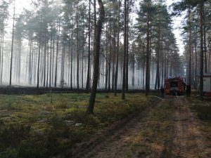 Siguldas novadā norit aktīva mežu ugunsgrēku dzēšana; iedzīvotāji aicināti ievērot ugunsdrošību