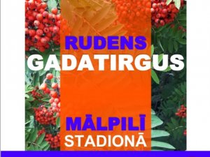 Svētdien Mālpils stadionā notiks ikgadējais “Rudens gadatirgus”