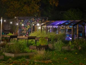 Siguldas kopienas dārzs “Audz” aizvadījis ražīgu un aizraujošu sezonu