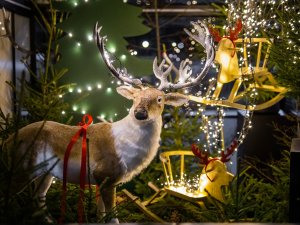 Novads tiek saposts Ziemassvētkiem; plānoti dažādi svētku notikumi