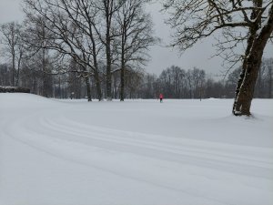 Siguldā un Allažos izveidotas dabīgā sniega slēpošanas trases