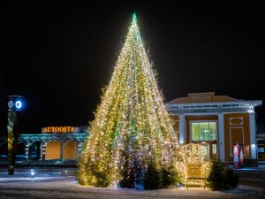 Siguldas novadā Ziemassvētku egles iemirdzēsies decembra pirmajā nedēļas nogalē