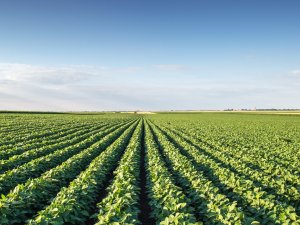 Jauni nosacījumi lauksaimniecības zemju apsaimniekošanas atbalsta maksājumiem