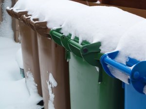Iedzīvotājus aicina bioloģiskos atkritumus utilizēt slēgtos iepakojumos